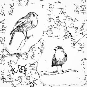 The Bird Song