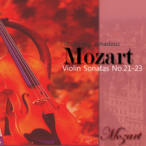 Violin Sonata No.21 in E minor KV304 1.Allegro (모차르트：바이올린 소나타 제21번 E단조 작품 304 제1악장 알레그로)