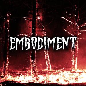Embodiment