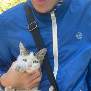 Положение(TVRUSS remix)