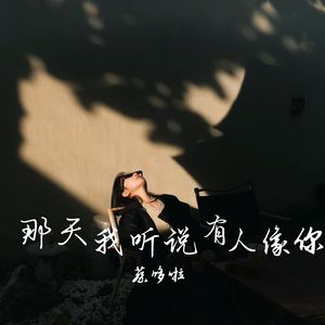 那天我听说有人像你