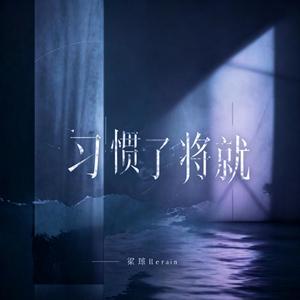 习惯了将就