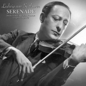 Beethoven: Serenade In D, Op. 8 - 1A. Marcia