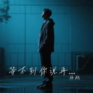 等不到你说再会