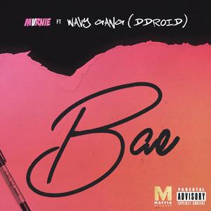 B.A.E