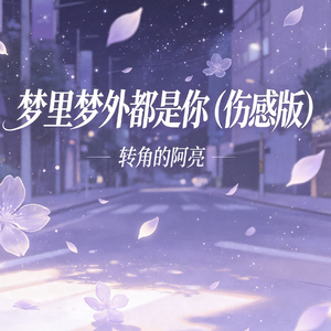 梦里梦外都是你呀（伤感版）