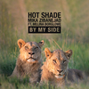 Hot Shade - By My Side