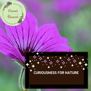 Palatable Beach Ripple