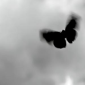 病变BINGBAN（抖音热版DJ）