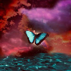 [FREE]butterfly (prod by bbchicken)