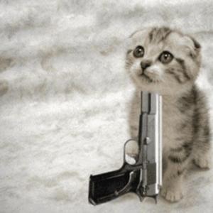 disappointment (feat. siraa)