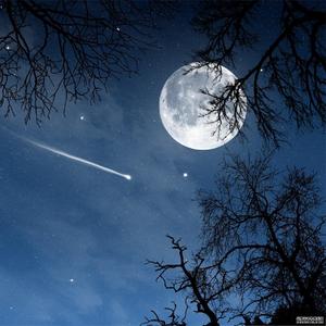 关于你（Prod by EVO MUSIC）