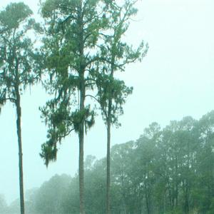 lost all that i loved