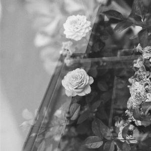 悲哀祈祷纪录片