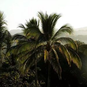 Anyong (Reverb&Slowed)
