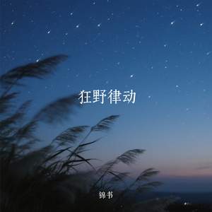 狂野律动