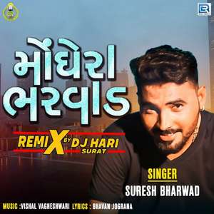 Moghera Bharwad (Dj Hari Surat)