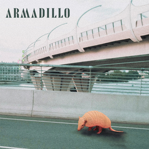 Armadillo