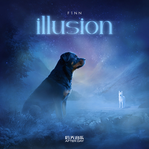 illusion（幻象）