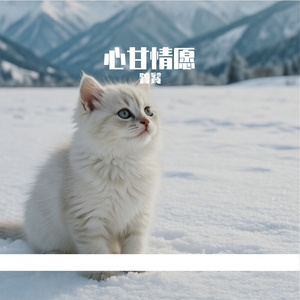 心甘情愿