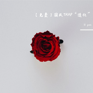 【免费】国风TRAP“造化”
