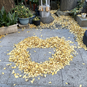 しあわせの歌