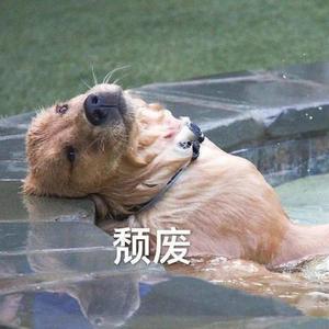 Boring Day （片段）