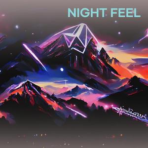 Night Feel