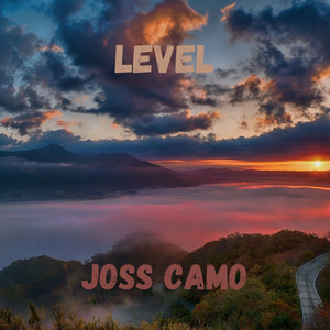 Level