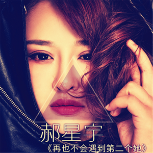 再也不会遇见第二个她