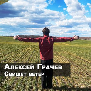 Свищет ветер