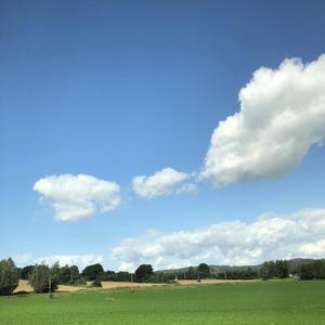 今天也想见到你