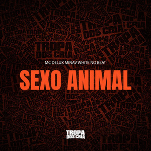 Sexo Animal
