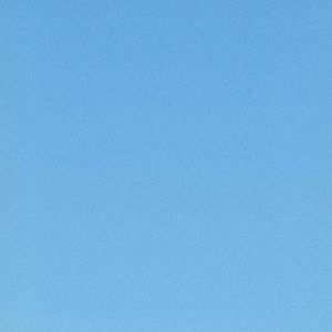 沈园外（片段）