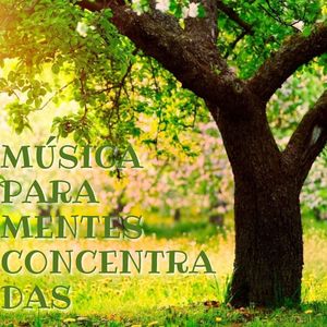 Música Para Relajarse Y Meditar