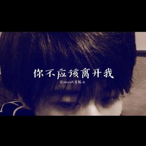 你不应该离开我