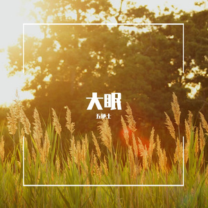 群星-大眠(Live)_纤尘（五便士 remix）