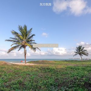 适合放松时髦的音乐