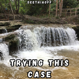 Trying This Case