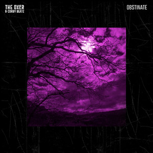 Obstinate