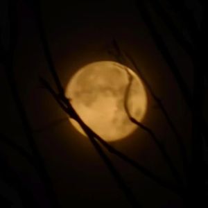 i wanna you know(Prod Siren)