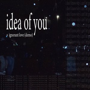 Idea of You