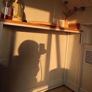 半情歌（Cover 元若蓝）