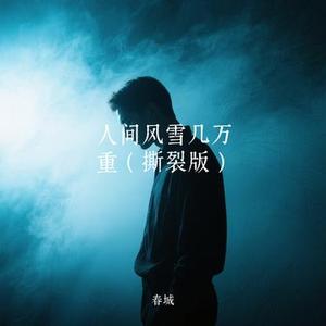 人间风雪几万重 (春城 Remix)