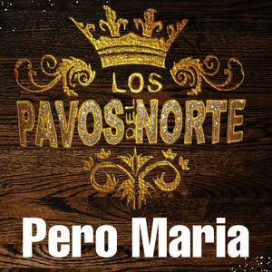 Pero maria (Live)