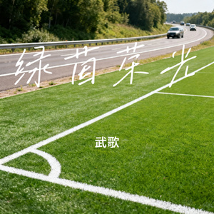 绿茵荣光