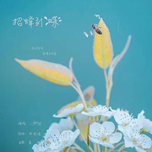 招蜂引蝶