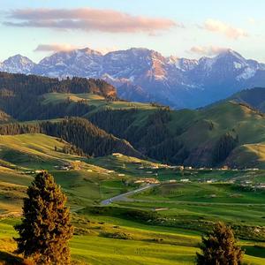 永不失联的爱-小提琴版