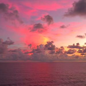 戒断(prod By Yn1Jasper)