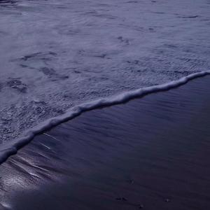 说句实话+magnolia